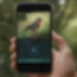 Close-up of a smartphone displaying a bird song identification app in action