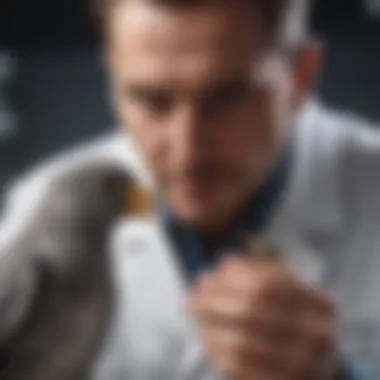 Veterinarian examining a bird in a clinical setting