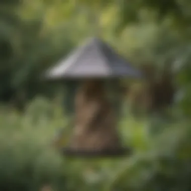 A well-maintained small suet feeder filled with fresh suet in a backyard.