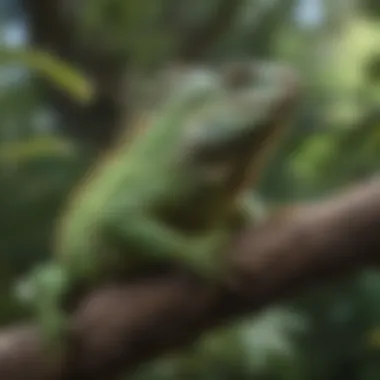 A vibrant green iguana resting on a branch in its natural habitat