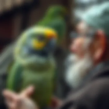 A caring owner interacting with a Quaker parrot