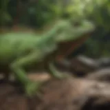 A vibrant green iguana in a natural habitat, showcasing its unique features.