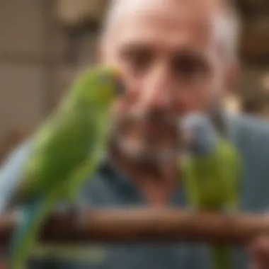 A heartwarming scene of parakeets in a rescue sanctuary surrounded by caring volunteers