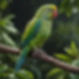 A vibrant parakeet perched on a branch surrounded by tropical foliage